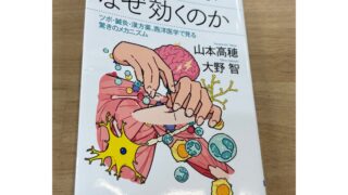 東洋医学はなぜ効くのか